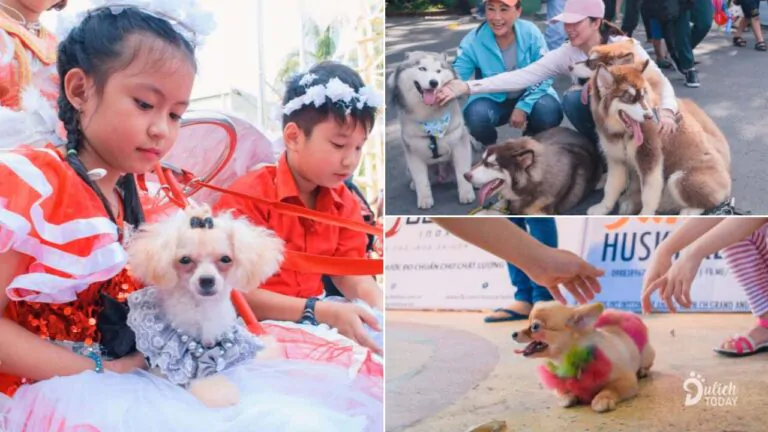 Cuộc Thi Ảnh Cùng Nhau Tại Lễ hội Cún Cưng Sài Gòn