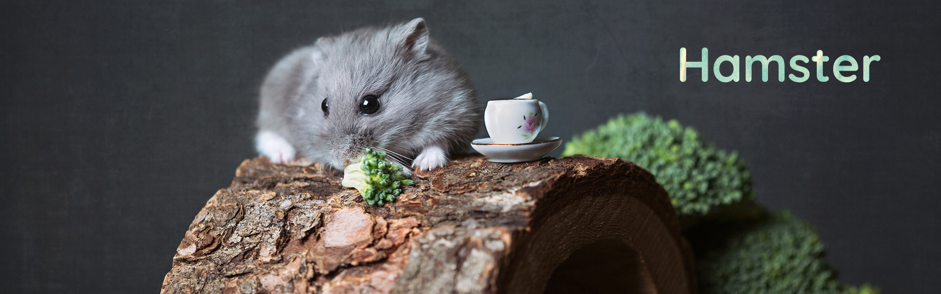 banner-hamster1