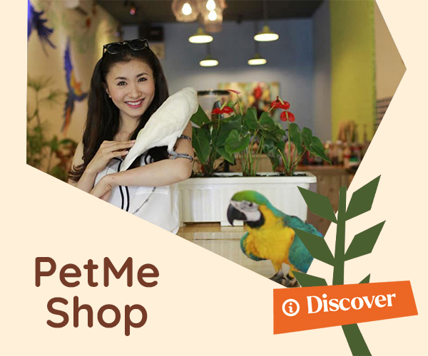 banner petme shop1