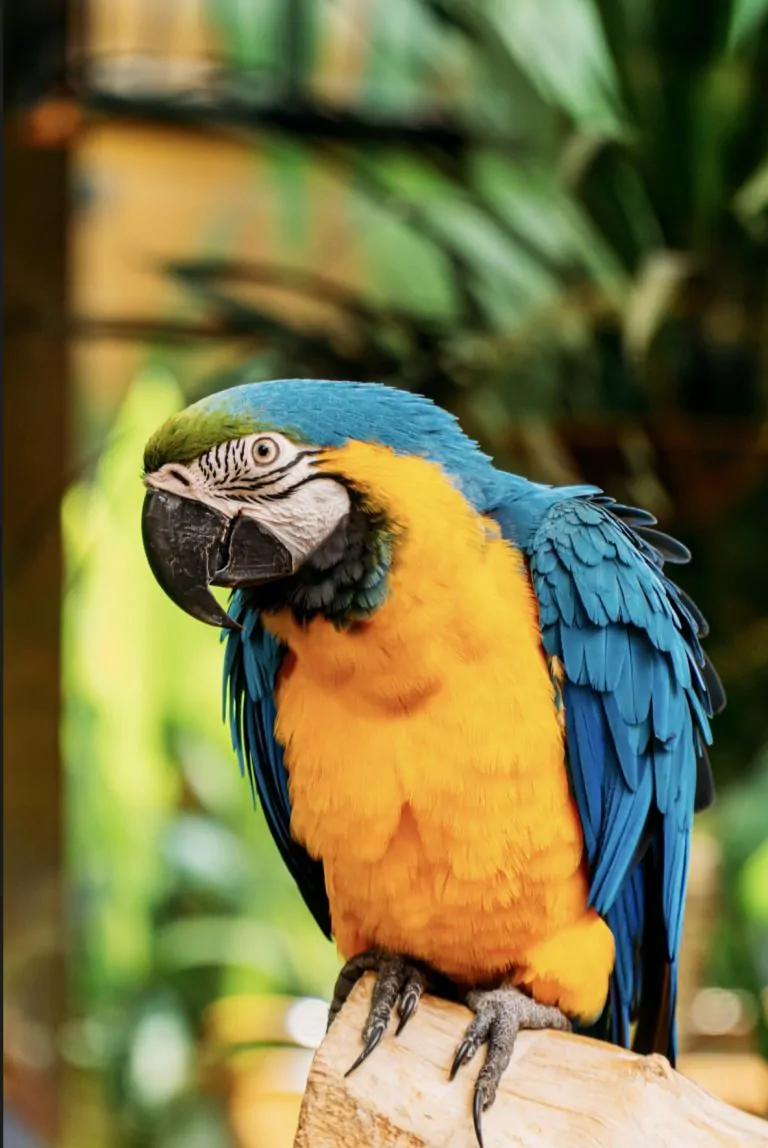 hinh anh 17 01 2024 luc 1947 1